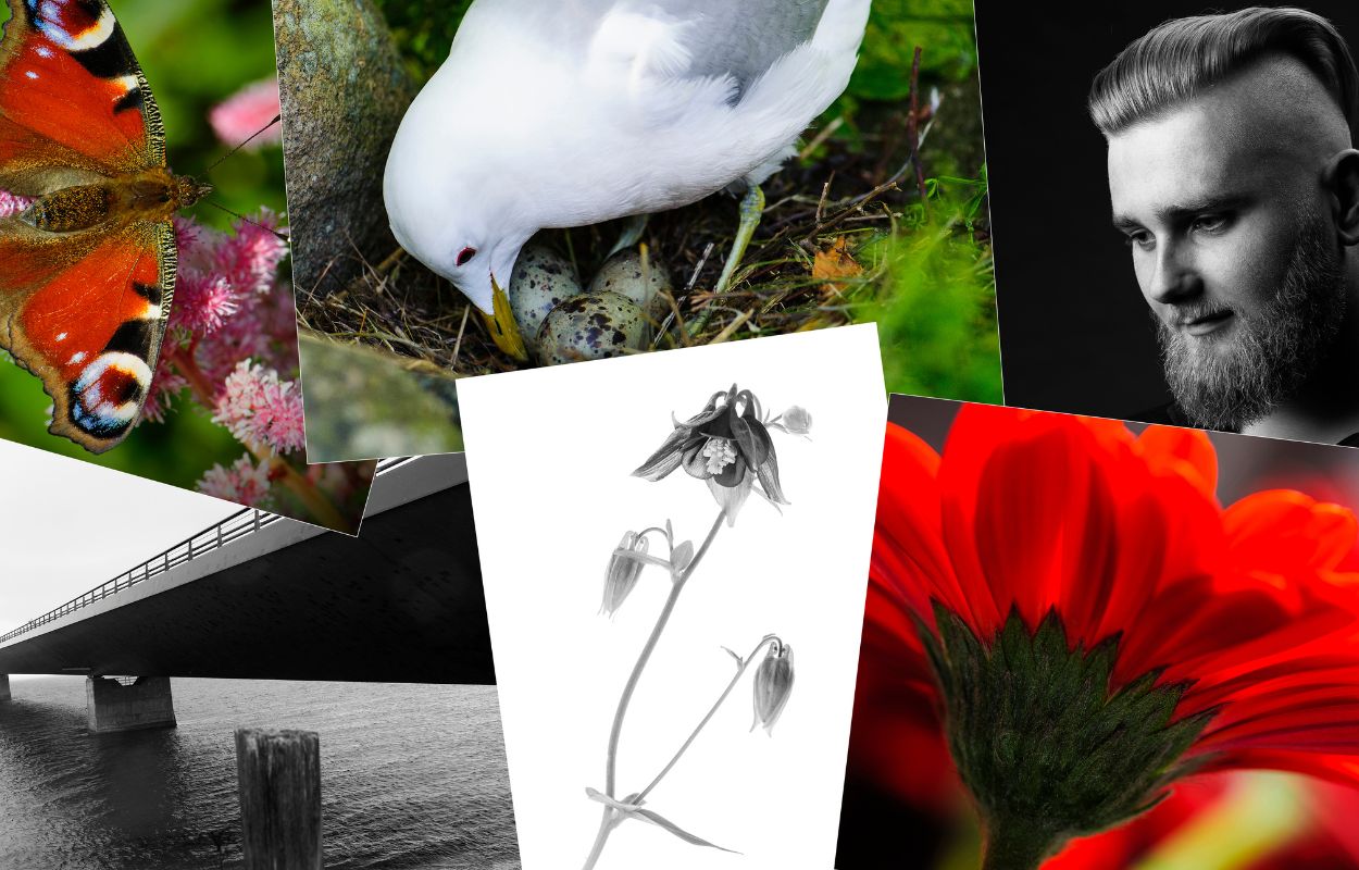 Foto for begyndere med Jørgen Christiansen